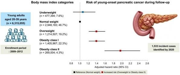 (서울=연합뉴스) 2030 젊은 췌장암 환자의 주요 발병 원인으로 비만이 꼽힌 가운데, 과체중 단계에서부터 발생 위험이 급격히 증가하는 것으로 나타났다. 2026.01.28. [삼성서울병원 제공. 재판매 및 DB 금지]
