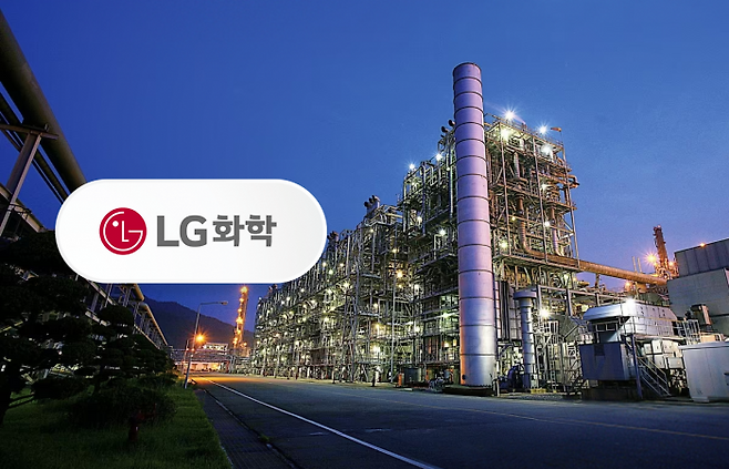 그래픽=홍연택 기자