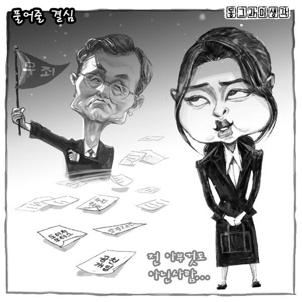 사법부의 풀어줄 결심