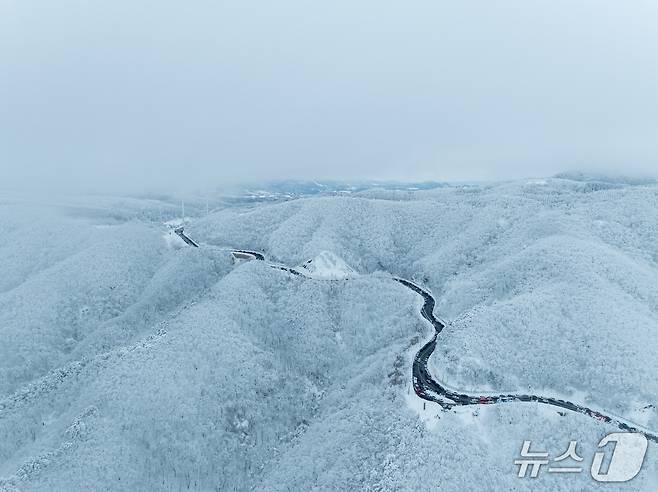 2026~207 강릉 방문의 해를 추진 중인 강원 강릉시가 2월 추천 여행지로 소개한 대관령 옛길 설경.(강릉시 제공, 재판매 및 DB 금지) 2026.1.29/뉴스1