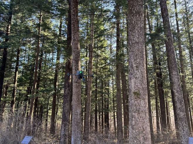 자율주행 드론이 장애물을 스스로 회피하며 숲속을 누비고 있다. 국립산림과학원