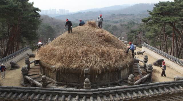 조선 태조 이성계의 묘소를 벌초하는 모습. 한겨레 자료사진