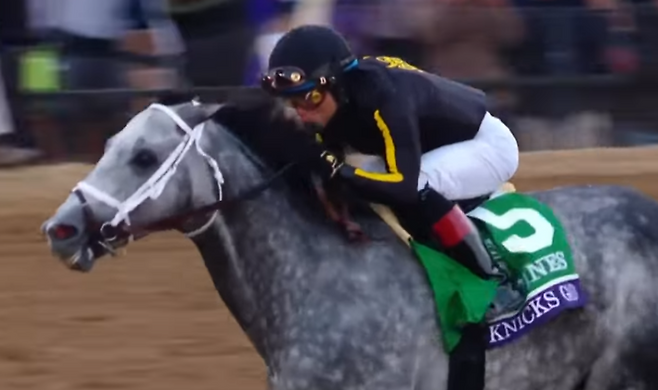 세계 최고 경주마로 꼽혔던 '닉스고'