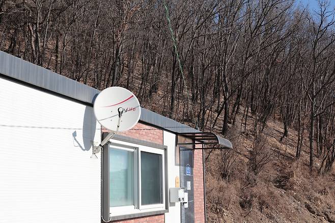 임시주택과 산불 흔적이 남은 산 [촬영 황수빈]