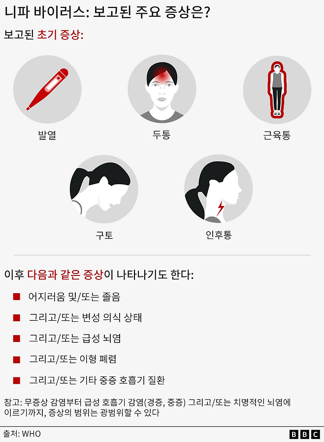 니파 바이러스의 주요 증상