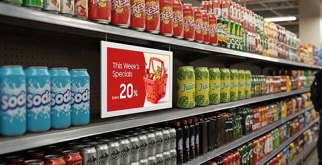 삼성 컬러 이페이퍼 13형.[삼성전자]