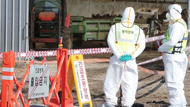 ▲ 31일 인천 강화군 구제역 발생 농장에서 방역 관계자들이 출입을 통제하고 있다. /박준엽 수습기자 jun010209@incheonilbo.com