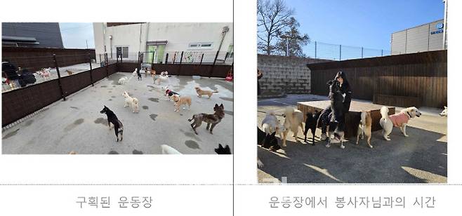 사단법인 동물보호연대가 동물자유연대 풀뿌리 단체 지원사업을 통해 보호소 환경을 개선한 모습(사진=동물자유연대)