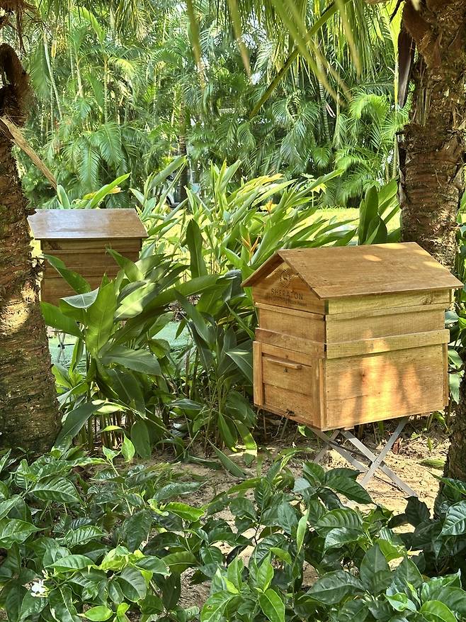 호텔 정원 / 사진=권효정 여행+ 기자