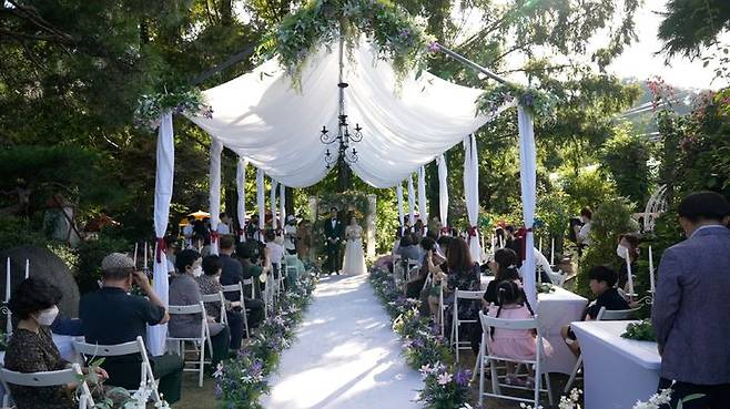 [안동=뉴시스] 경북도가 개최한 '나만의 작은 결혼식' 공모전에서 대상을 수상한 '식물원 결혼식'. (사진=경북도 제공) 2025.11.06. photo@newsis.com *재판매 및 DB 금지
