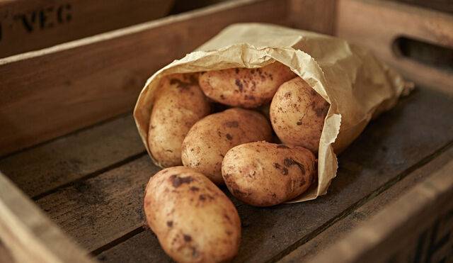 클립아트코리아