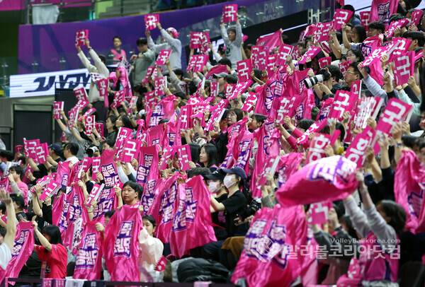 흥국생명, 2월 홈경기서 '백스테이지 도슨트 투어' 운영...선수단 락커룸·인터뷰실 공개하며 팬 체험형 콘텐츠 확대...사진은 흥국생명 팬들이 응원하는 모습.[사진촬영=김경수기자]