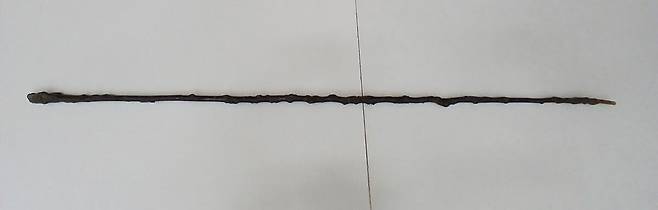 은진 송씨 가문에서 전수된 지팡이 청려장. 대전시 제공