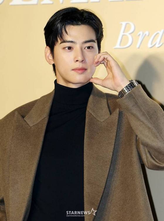 차은우 /사진=스타뉴스