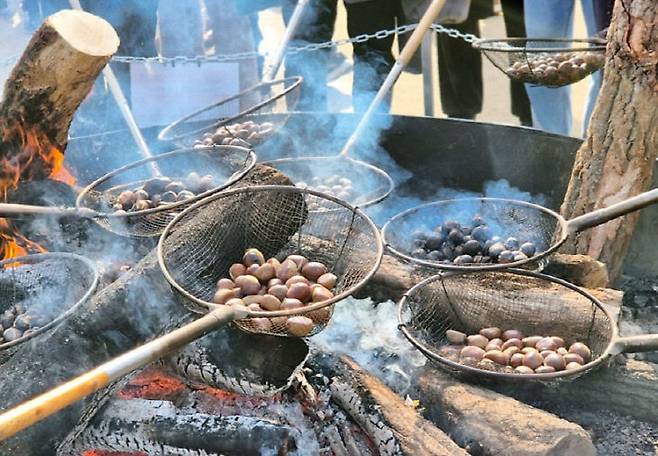 공주 군밤축제 대형 화로존 군밤 굽기. (사진= 김영복 연구가)