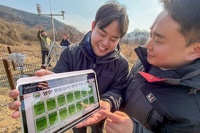 KT와 국립생태원 직원들이 원동습지에 자동기상관측장비를 설치하고 측정 상황과 데이터를 태블릿PC로 원격 모니터링하고 있다.ⓒKT