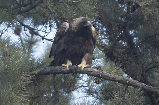 눈빛이 목표 지점을 향해 고정돼 있다.