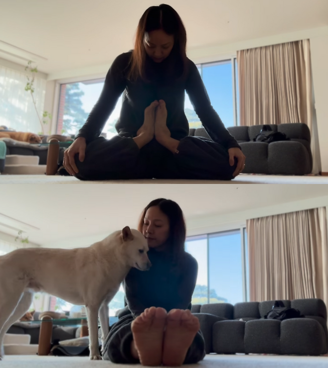 이효리 SNS 캡처