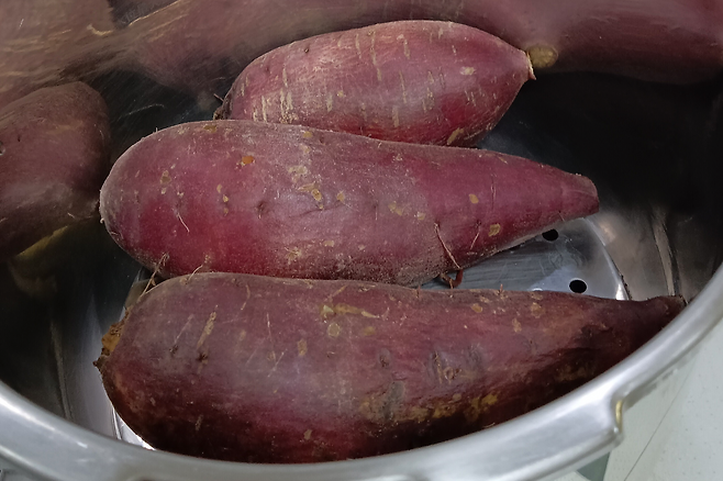 고구마