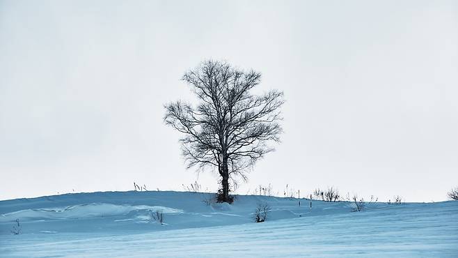 겨울만 되면 악화되는 통증. 이유와 치료법이 궁금하다|출처: 게티이미지뱅크