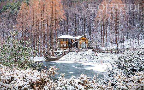 ▲온빛수목원 설경 모습. /사진-논산시