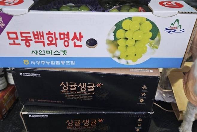 온라인 커뮤니티