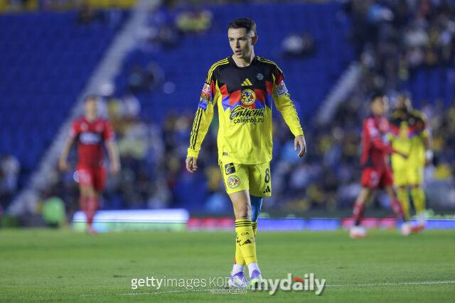 피달고/게티이미지코리아