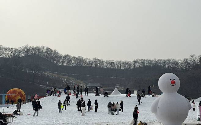 공주 군밤축제에는 어린이들을 위한 눈 놀이터'겨울왕국 눈꽃왕국'과 반려동물 동반 관람객을 위한 '겨울공주 댕댕왕국'도 마련됐다. (공주시 제공)