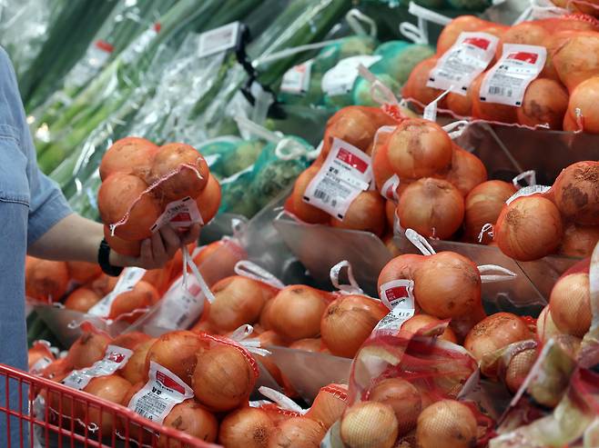 서울시내 한 대형마트에서 고객이 양파를 고르고 있다. /뉴스1