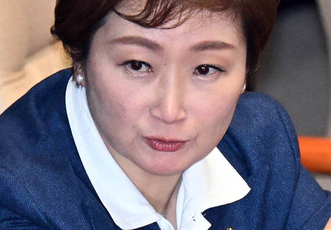 이언주 최고위원. 국민일보DB