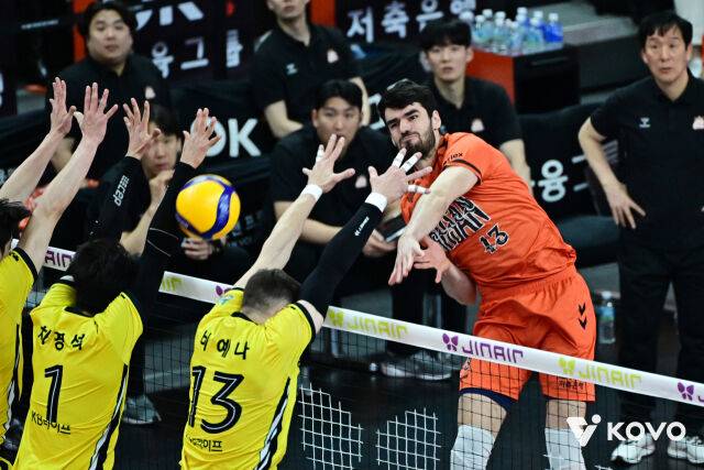 디미트로프/KOVO