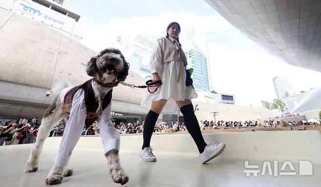 [서울=뉴시스] 홍효식 기자 = 14일 서울 중구 동대문디자인플라자(DDP) 어울림광장에서 열린 '댕댕 런웨이'에서 반려견들이 반려인과 제로웨이스트 패션쇼를 하고 있다. 2025.09.14. yesphoto@newsis.com
