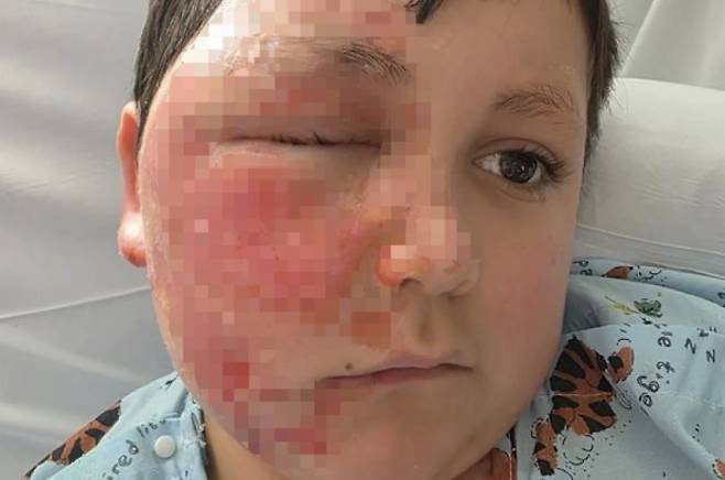 [시카고 선 타임즈]