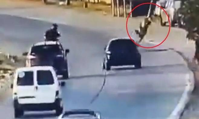 2인조 권총강도 중 1명이 자동차에 치여 공중으로 치솟았다가 갓길로 떨어지고 있다. CCTV 캡처