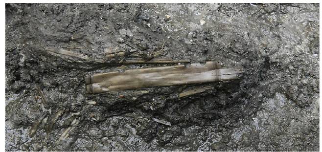 백제 횡적(가로 피리) 발굴 모습 (사진=국가유산청)