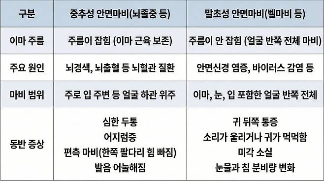 중추성 안면마비, 말초성 안면마비 차이점｜출처:&nbsp;Gemini 생성