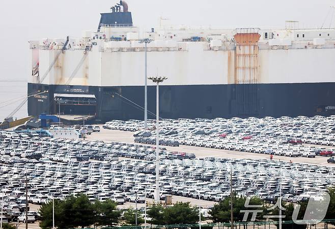 지난해 7월7일 경기 평택시 포승읍 평택항에 수출용 차량들이 세워져 있는 모습. 2025.7.7/뉴스1 ⓒ News1 김영운 기자