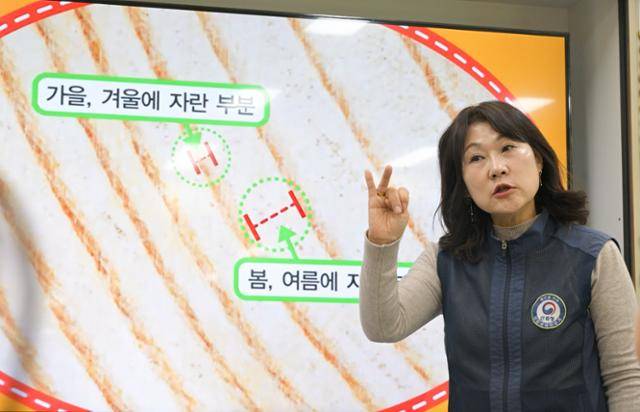 산림청에서 파견된 방과후학교 교사 이선옥씨가 학생들에게 나이테가 만들지는 원리에 대해 설명하고 있다. 최주연 기자