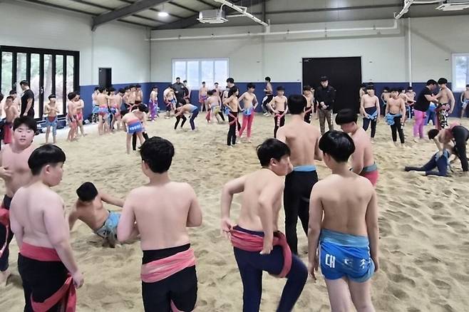 전국 씨름 초등부 20개 팀 소속 학생 선수들이 전북 고창군 씨름 전용 구장에서 동계 전지훈련을 하고 있다. 고창군 제공