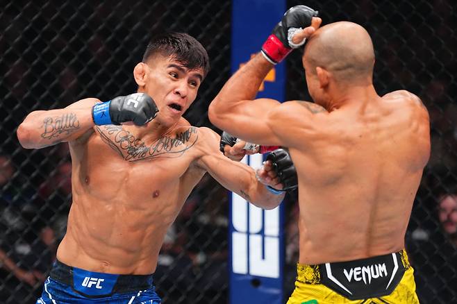 지난 2024년 10월 UFC  307에서 마리오 바티스타(왼쪽)가 조제 알도에게 펀치러시를 하고 있다. [게티이미지]