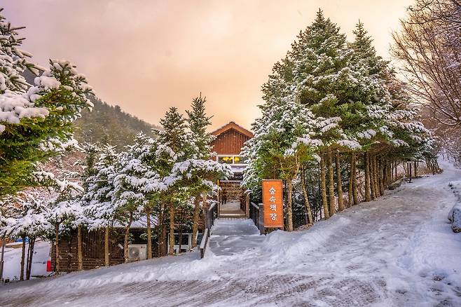 눈 내린 국립한국자생식물원 [한국수목원정원관리원 제공. 재판매 및 DB 금지]