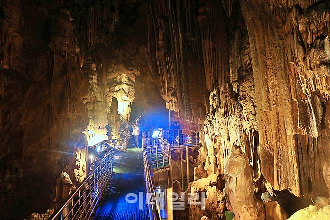 2억 5000만 년이 빚어낸 지질학적 경이와 천년 역사의 흔적이 공존하는 땅속의 박물관인 ‘성류굴’