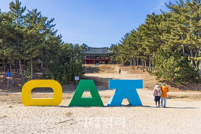 월송정 인근 소나무 숲과 해안 산책로에는 한글 자음을 모티브로 한 조형물