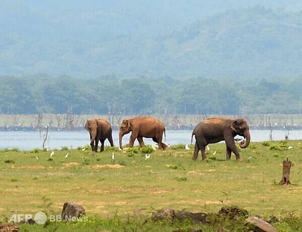 사진은 칼럼과 관련 없는 참고 이미지입니다. 사진제공=ⓒAFPBBNews = News1 (사진을 무단으로 사용하지 마십시오.)