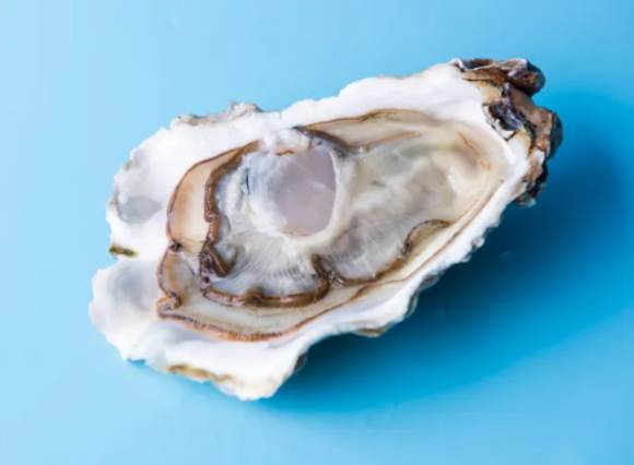 사진은 생굴. [사진=픽사베이]