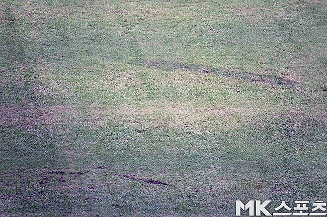 사진=이근승 기자