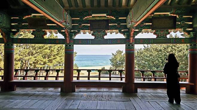 옛 문인들이 사랑했던 월송정.