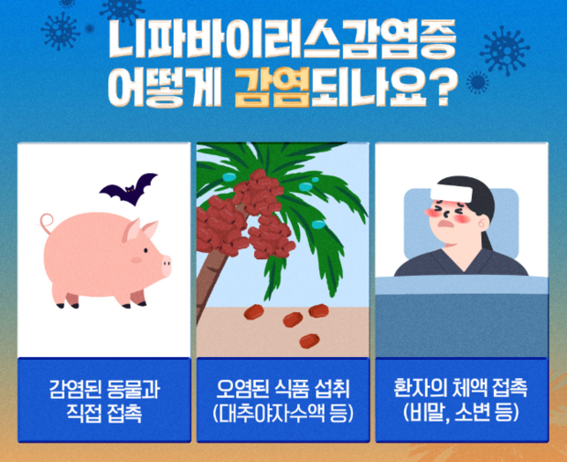 사진 제공=질병관리청