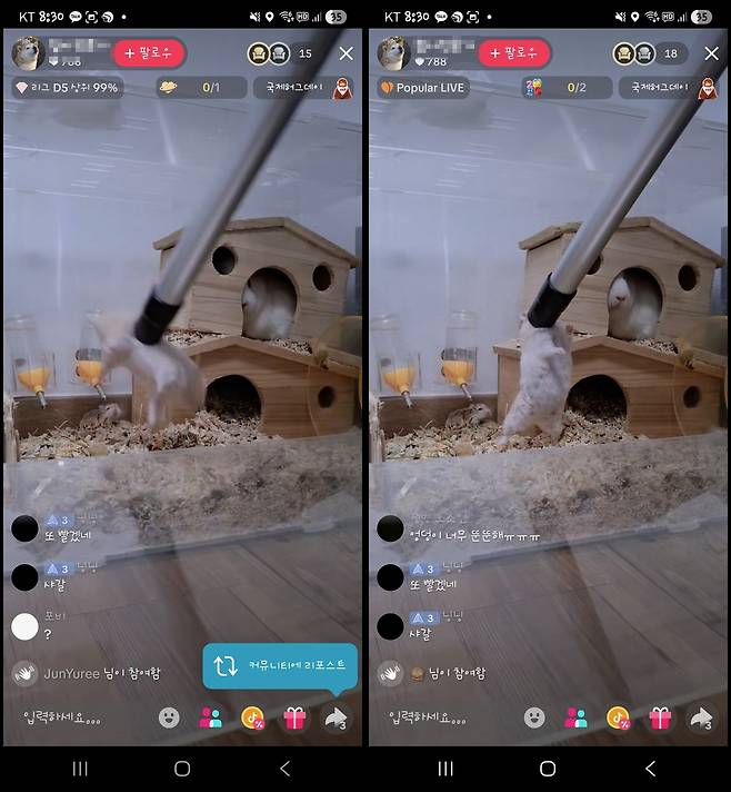 햄스터 등 소동물을 학대하고 이를 SNS에 생중계한 남성 A씨의 신원이 밝혀져 경찰이 조사에 나섰다. 동물자유연대 제공