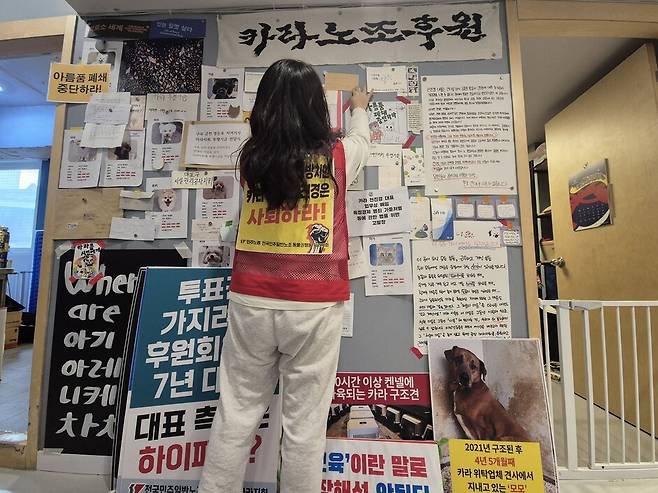 2026년 2월4일 서울 마포구 동물입양센터 아름품 건물에서 동물권행동 카라 활동가가 연대시민들의 편지와 벽보를 정리하고 있다. 신다은 기자